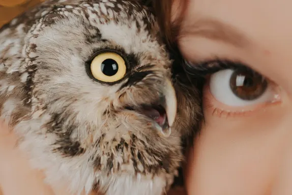 Efbet Casino Stuðningur